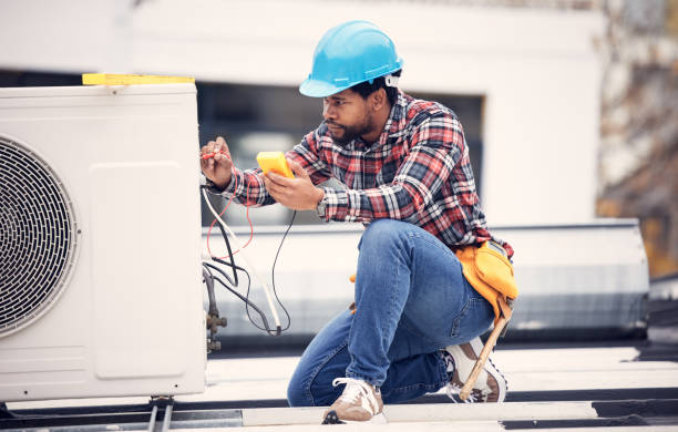 Best Local Electrician Companies  in Young Harris, GA